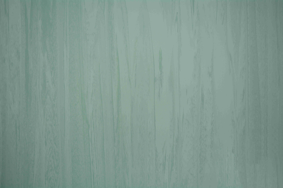 Non Slip 3mm Hospital PVC Flooring