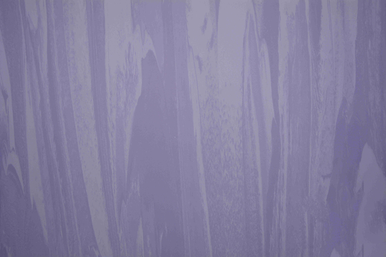 Compact Homogeneous Vinyl Sheet Hospital Flooring