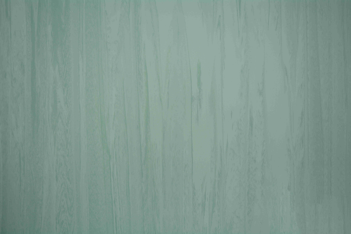 Non Slip 3mm Hospital PVC Flooring