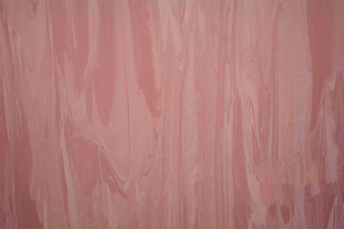 Compact Homogeneous Vinyl Sheet Hospital Flooring